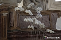 VBS_0359 - Corollaria Flower Exhibition 2022